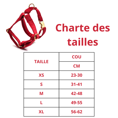 Harnais chien | Rouge Flamboyant