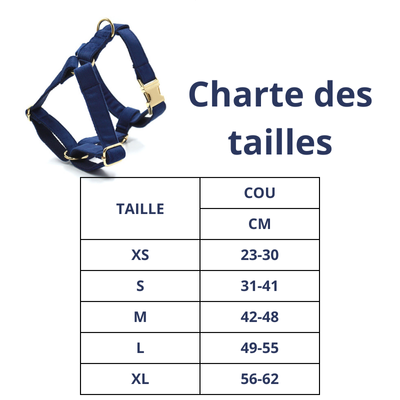 Harnais chien | Marine