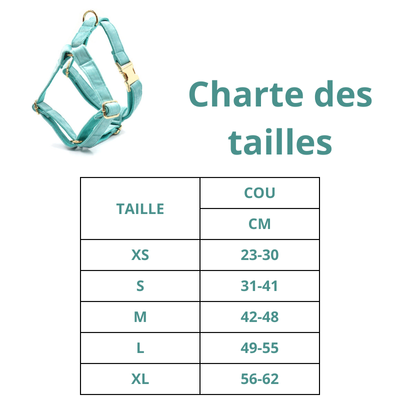 Harnais chien | Turquoise
