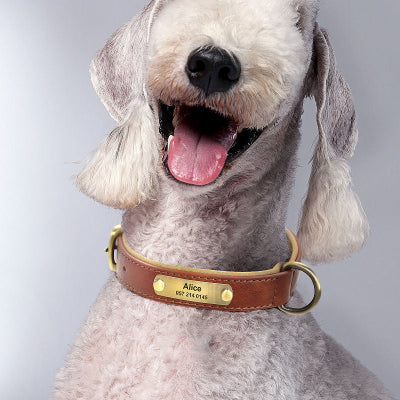 Collier chien personnalisé-CUIR