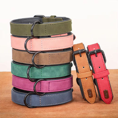Collier cuir chien