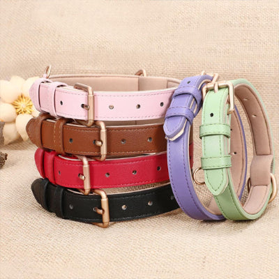 Collier cuir chien 