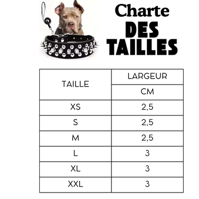 CHARTE DES TAILLE POUR COLLIER EN CUIR POUR CHIEN 