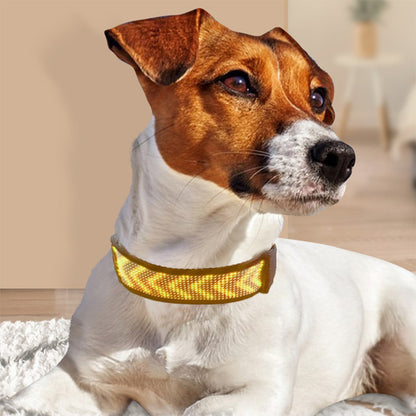 Collier lumineux chien | GraffiCollar™