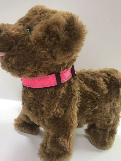Collier pour Chien-Reflecto™