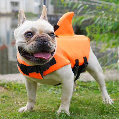 Gilet de sauvetage chien