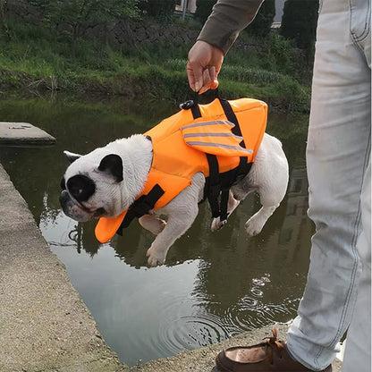 Gilet de sauvetage chien