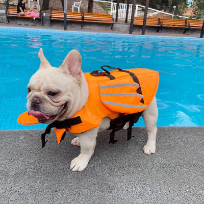 Gilet de sauvetage chien