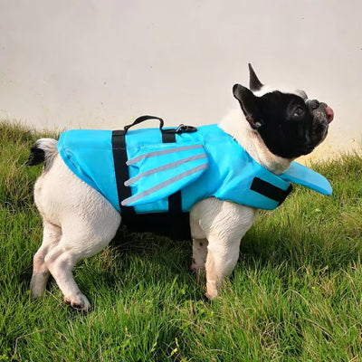 Gilet de sauvetage chien bleu