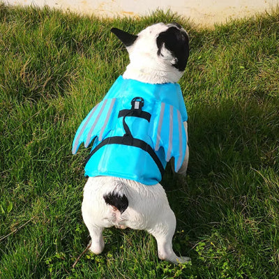 Gilet de sauvetage chien