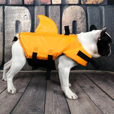 Gilet de sauvetage chien
