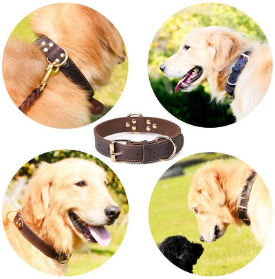 Collier chien-CUIR