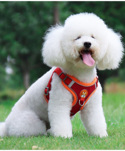 Harnais chien | EnsemblePawsFit™
