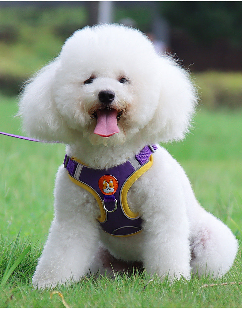 Harnais chien | EnsemblePawsFit™