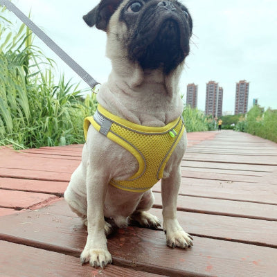 Harnais petit chien-littlePet™ JAUNE