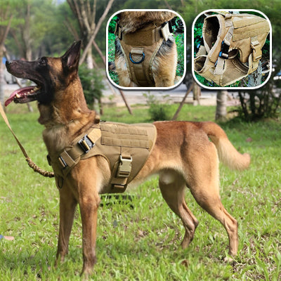 Harnais pour chien-Ensemble EliteK9™