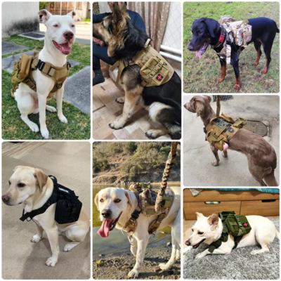 Harnais pour chien-Ensemble EliteK9™