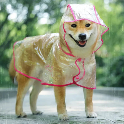 SHIBA INU AVEC IMPERMEABLE POUR CHIEN TRANSPARENT ROSE