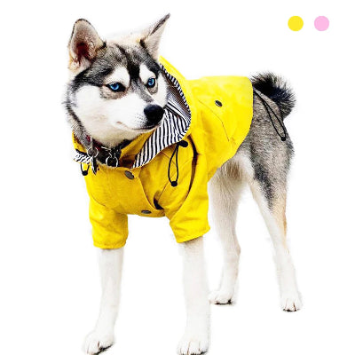 HUSKY AVEC SON IMPERMEABLE POUR CHIEN JAUNE 