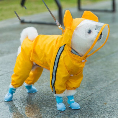 Imperméable chien-COLORÉ