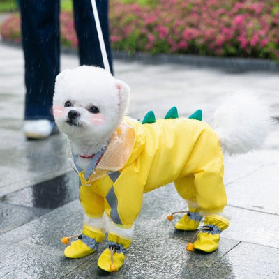 Imperméable chien-COLORÉ