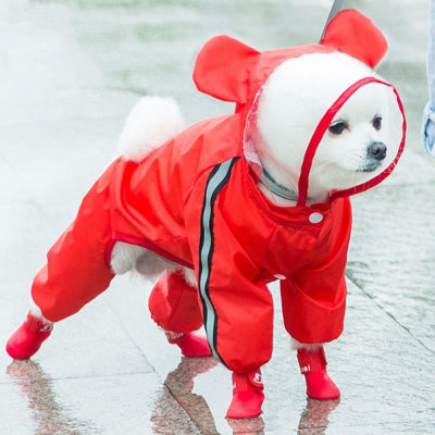 Imperméable chien-COLORÉ 