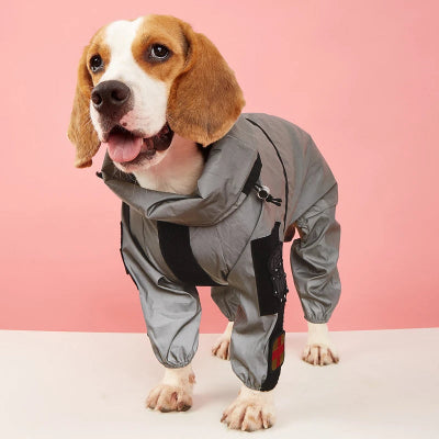 CHIEN VETU DE SON IMPERMEABLE POUR CHIEN GRIS avec sécurité réfléchissante pour promenade nocturne