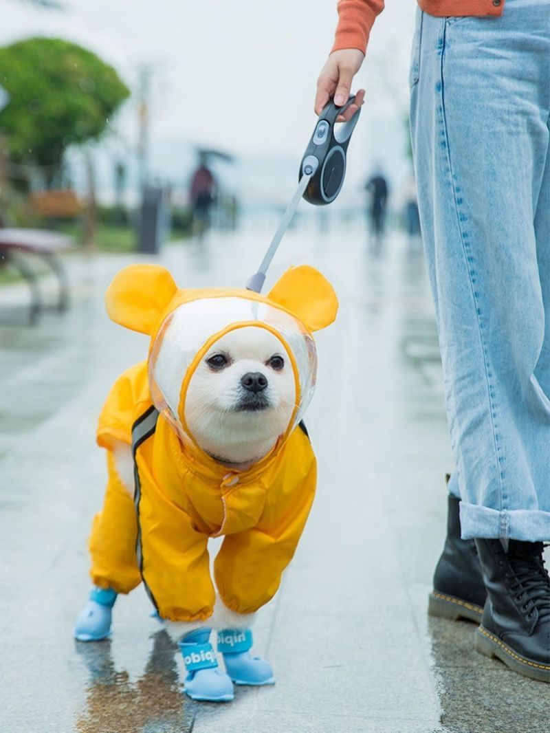 Imperméable chien-COLORÉ