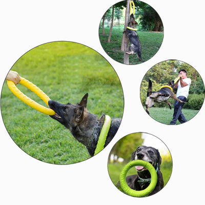 demonstration de jeu avec berger allemand avec anneau pour chien