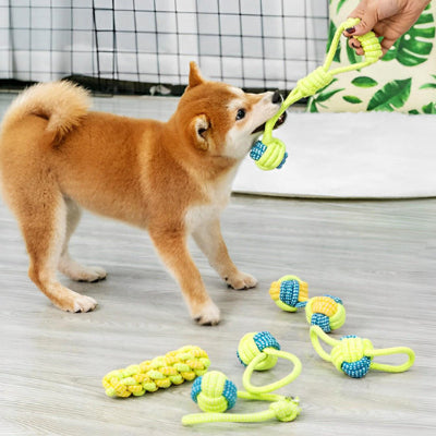 Jouet pour chien-Duracord™