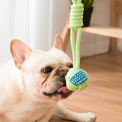 Jouet pour chien