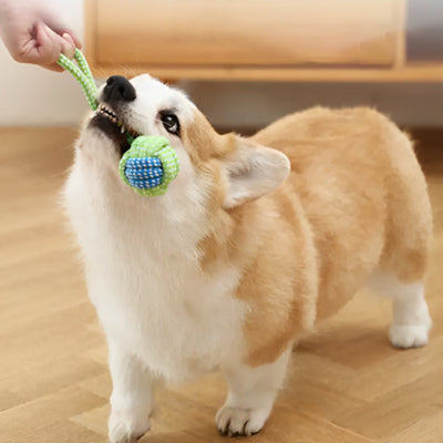 Jouet pour chien-Duracord™