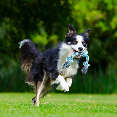 Jouet pour chien-WoofTwist™