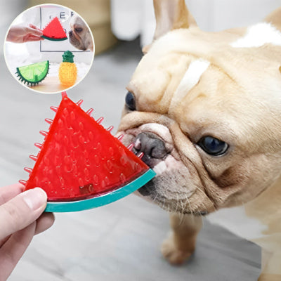 bouledogue francais qui sent son jouet pour chien de dentition en forme de melon d'eau