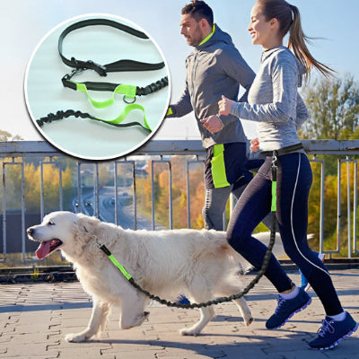 golden retriever et ses maitres pratiquant le canicross