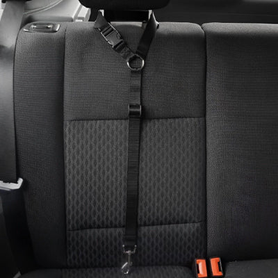 Laisse pour chien-Pawsecure™