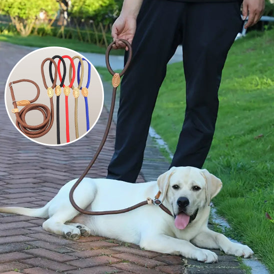 labrador blond avec son maitre couche sur le trottoir et tenu en laisse