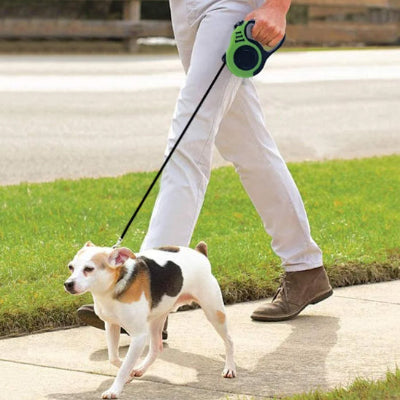 Laisse pour chien rétractable verte