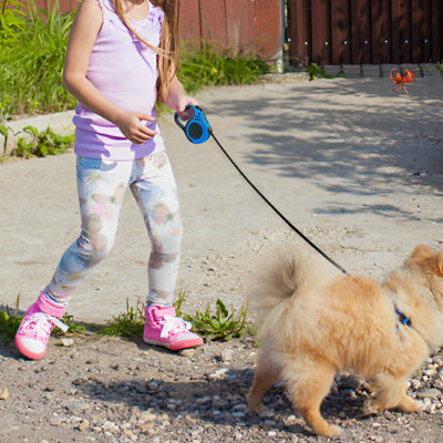 Laisse pour chien rétractable bleue