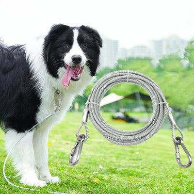 chien de couleur blanc et noir dans un parc avec une laisse en metal