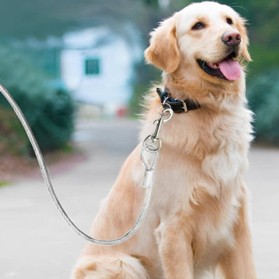 Longe pour chien-IronLeash™