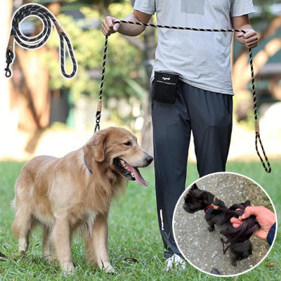 golden retriever en marce au pied avec une longe