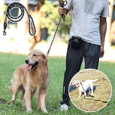 golden et labrador retriever tenu en laisse de couleur noire et blanche se promenant dans un parc