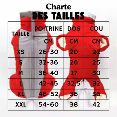 Charte de Manteau chien BLIZZARD