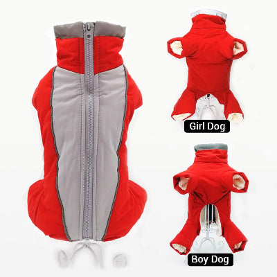 Manteau chien hiver chaud et imperméable-pour chien de variante male et femelle