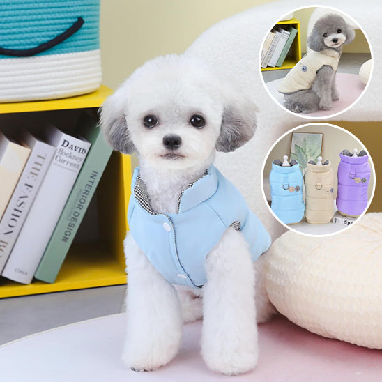 CANICHE BLANC ET GRIS HABILLE D'UN MANTEAU D'HIVER anti-froid pour promenade en extérieur BLEU 