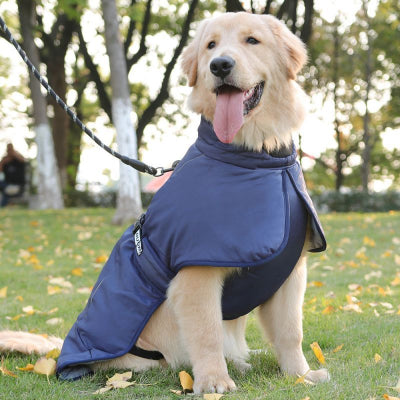 Manteau_pour_chien-Nordog