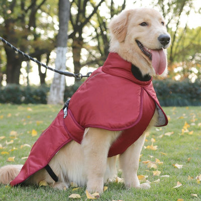 Manteau pour chien-Nordog™