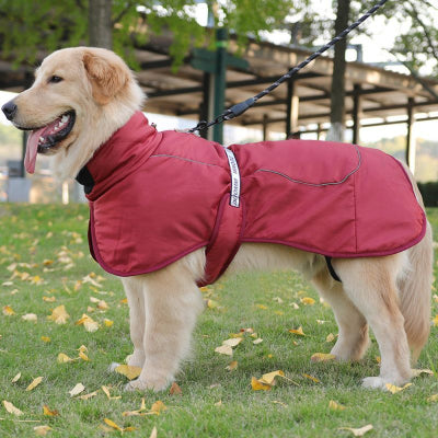 Manteau pour chien-Nordog™