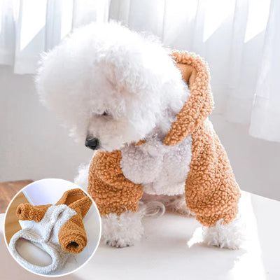  bichon avec son pull chaud et pratique pour balade